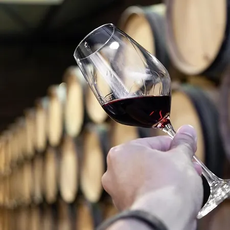 Santa Catarina Downtown Flat *